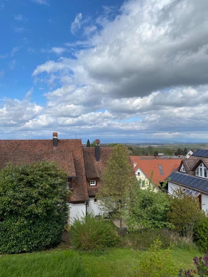 Ferienwohnung Vogesenblick Mullheim  Exterior photo